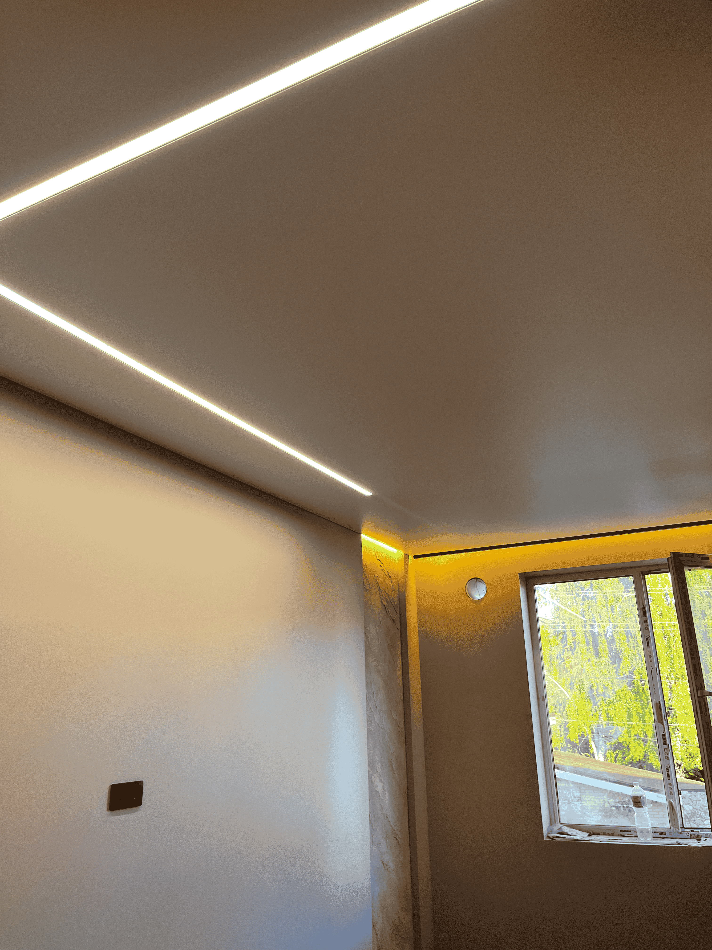 Portfolio background